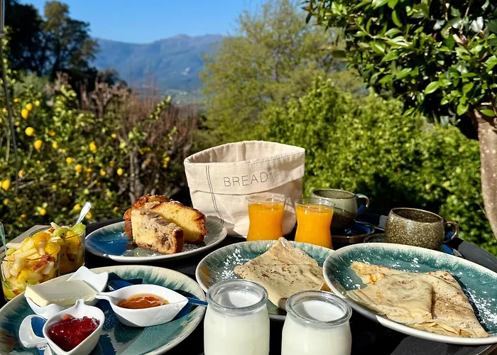Carpediem Corsica Adult Only 3* Poggio-d'Oletta